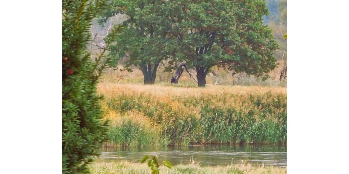 Oderblick aus dem OG