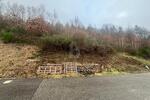 RUHIG UND NATURNAH MIT POSTKARTENPANORAMA - Grundstück Wolfach | Angebot:27439913