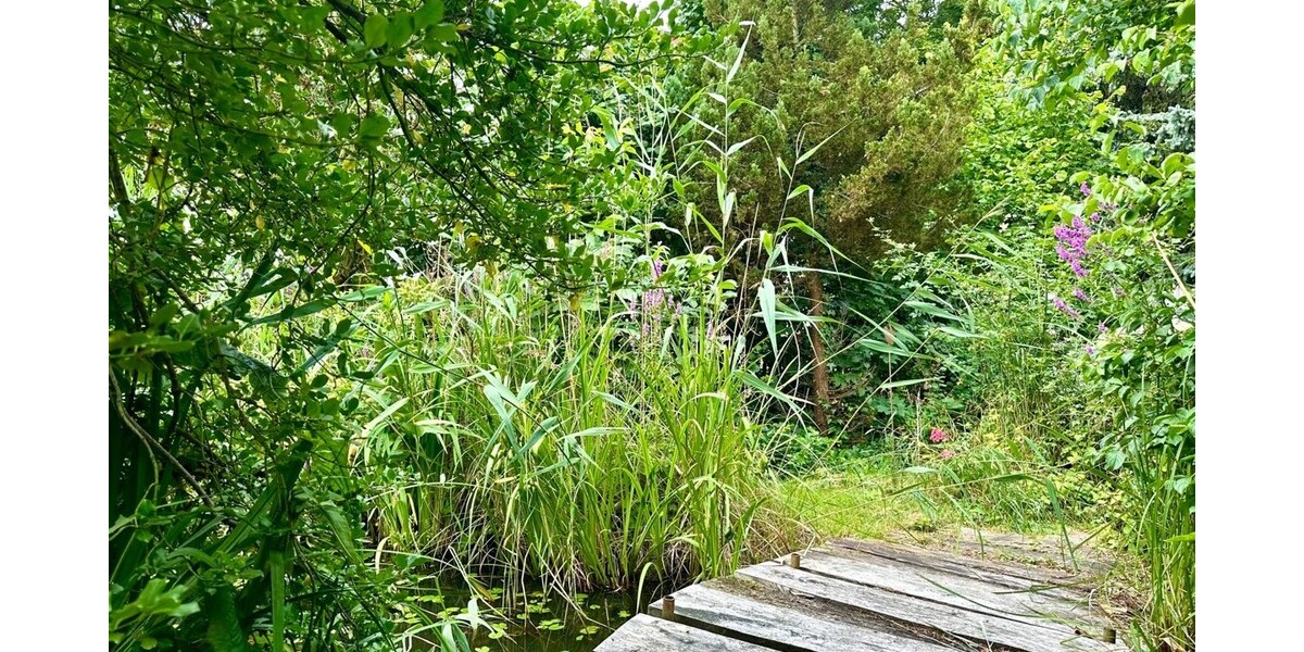 Gartenteich