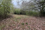 Kelkheim: Hier erfüllen Sie Ihren Traum! Idyllisches Grundstück im Wochenendgebiet - Grundstück Kelkheim | Angebot:26134206