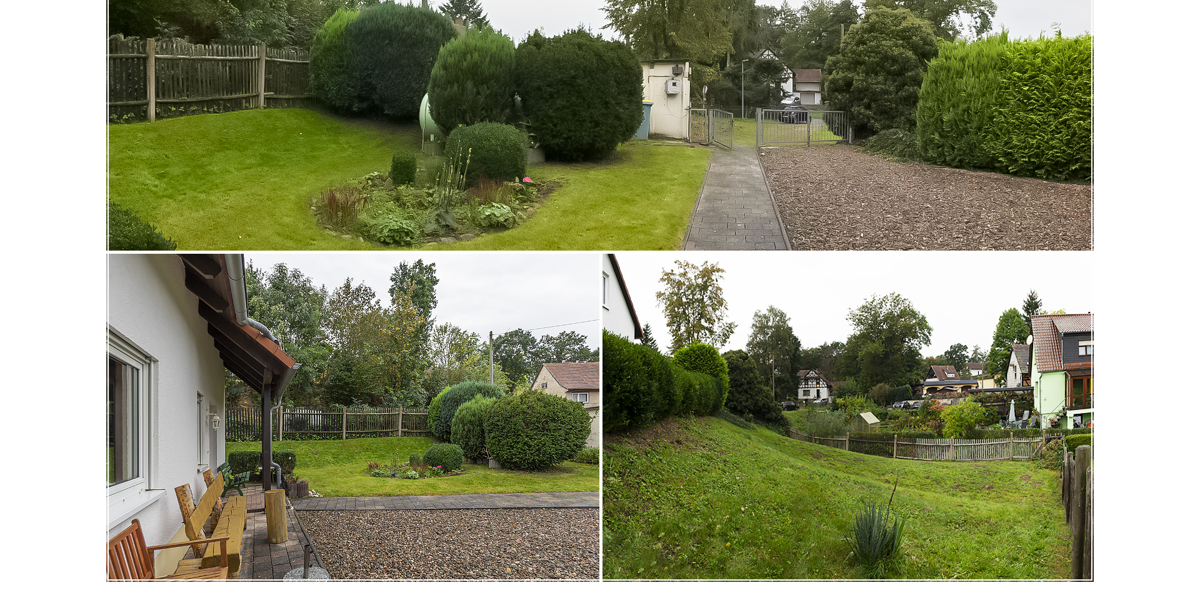 Blick in den Garten
