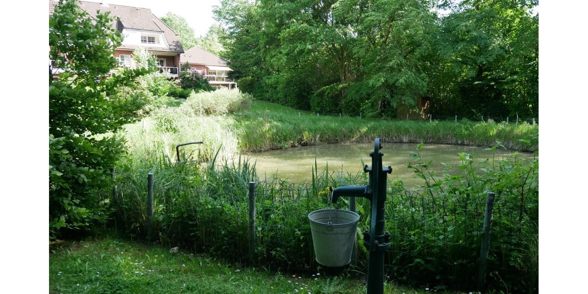 Gartenteich hinterm Haus