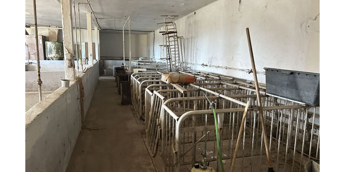 Stallung 