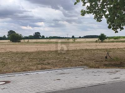 WOHNEN IM GRÜNEN BEGINNT HIER - NEUBAUGEBIET - Grundstück Dreiheide | Angebot:27439909