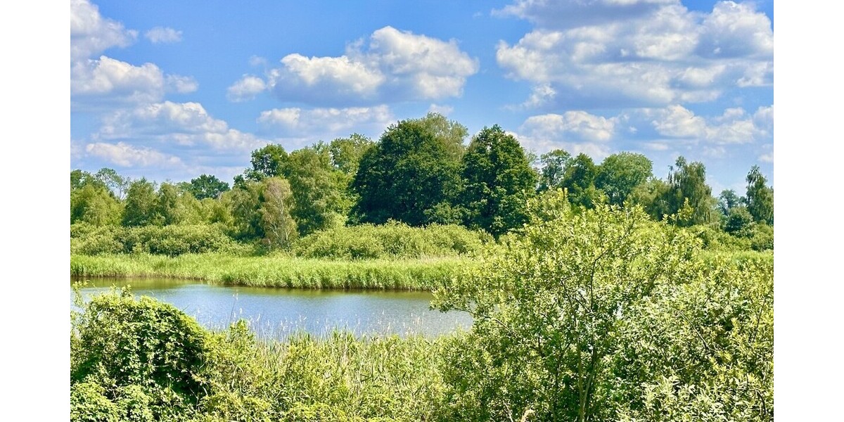 See mit Insel