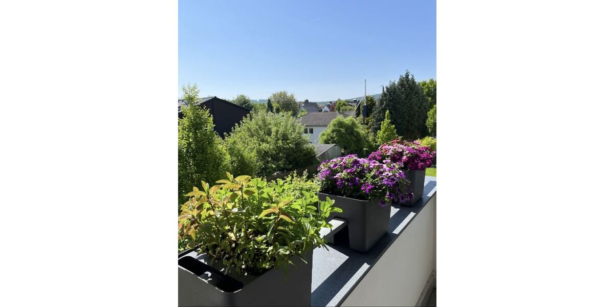 Ausblick