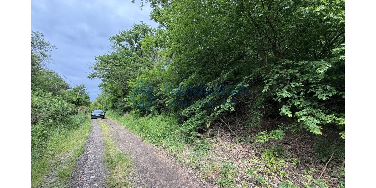 Weg nach oben 2