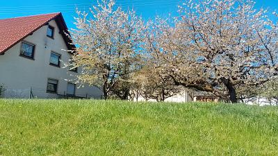 STADTNAH U. PRIVAT WOHNEN MIT RENDITEPOTENTIAL - Grundstück Schömberg | Angebot:26875670