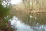 Teichanwesen mitten im Wald Südwestpfalz - Grundstück Biedershausen | Angebot:19798978