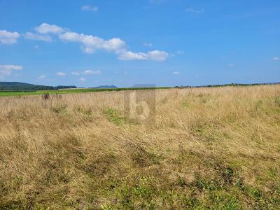 IHR WEG ZUM EIGENHEIM IN IDYLLISCHER EIFFELLAGE - Grundstück Großlittgen | Angebot:26817094