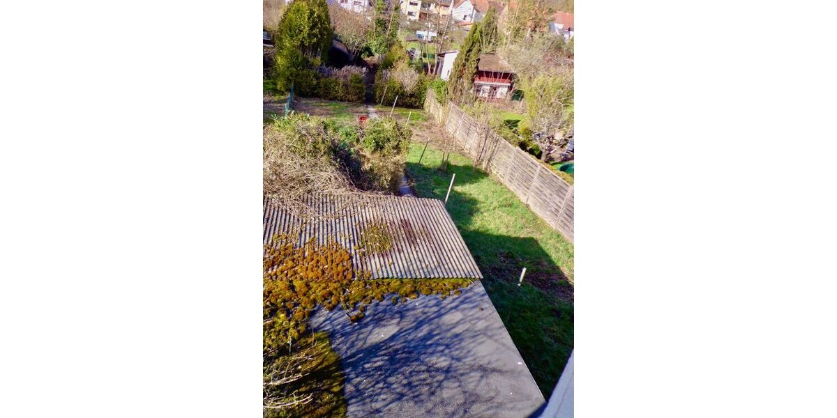 Garten_Ramsen