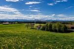NATUR & STADTNÄHE PERFEKT VEREINT - Grundstück Türkenfeld | Angebot:26907090