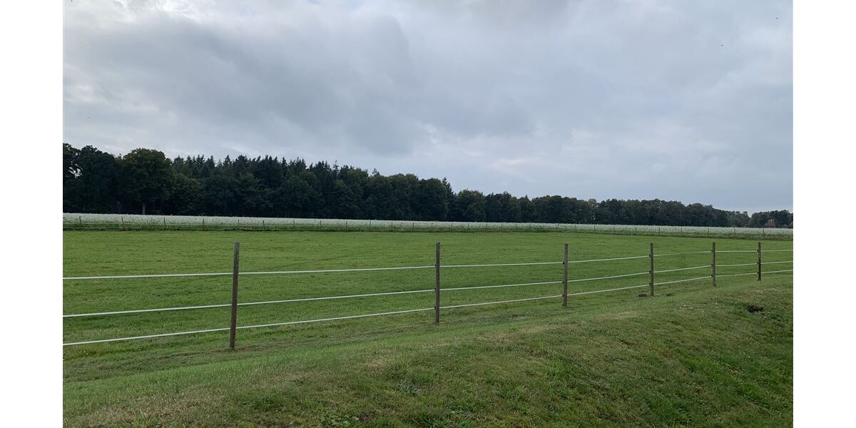 Blick in die Natur