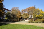 LICHTDURCHFLUTETE DACHGESCHOSSWOHNUNG MIT AUFZUG UND TERRASSE IN BEGEHRTER KIEZLAGE! - Dachgeschoßwohnung Berlin Friedrichshain | Angebot:26854784