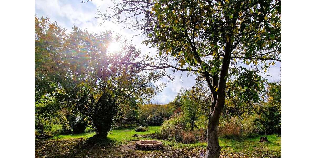 Gartenblick