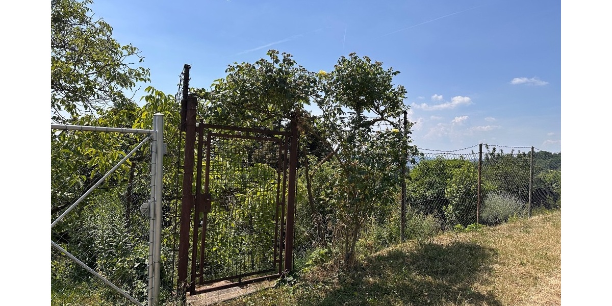 Obere Eingangstür