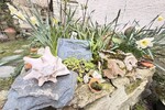 *Charmante Wohnungsalternative - Kleinod im Herzen von Kronberg* - Etagenwohnung Kronberg | Angebot:25853528