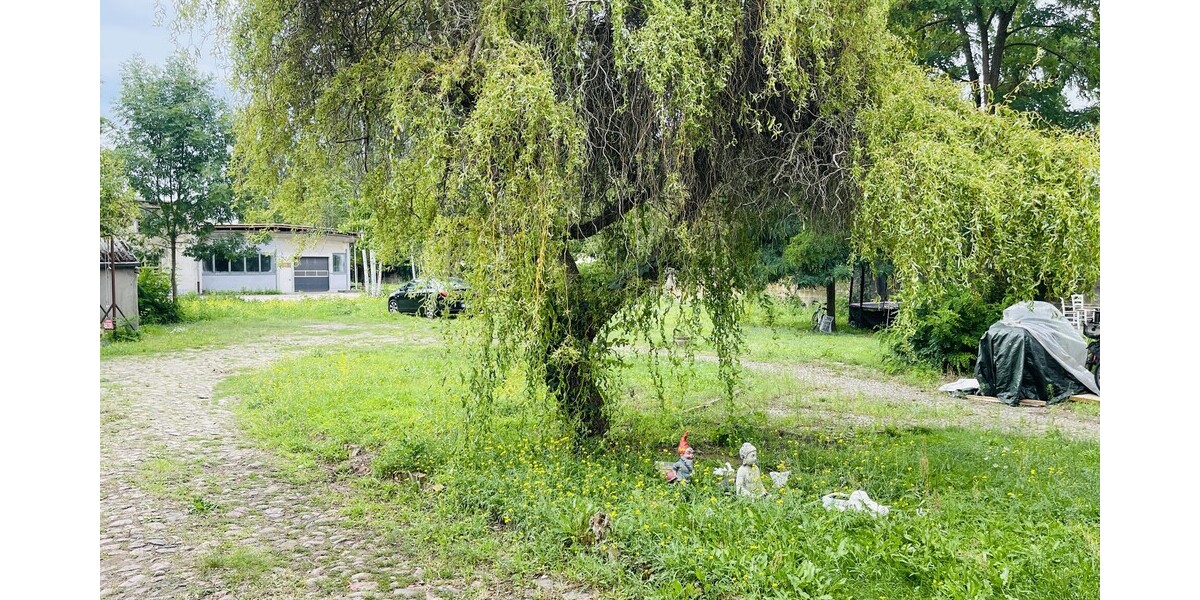 Blick in Richtung Gartenbereich 