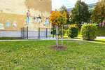 Praktische 2 Zimmer-Wohnung mit Balkon und Einbauküche - Appartement Schmölln | Angebot:26204265