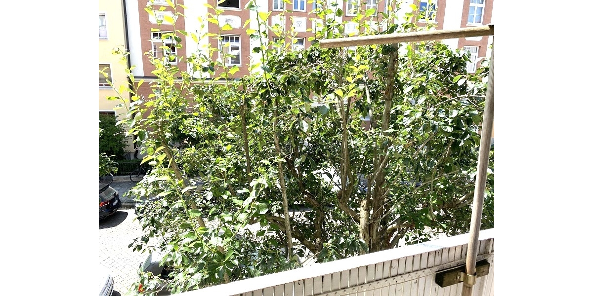 3-Zimmer-Wohnung nähe Elisabethplatz mit Südwest-Loggia - Etagenwohnung München / Schwabing-West West | Angebot:27092954