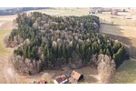 Lebensraum Wald: Fichte, Buche und Lärche in Generationen gewachsen - Grundstück Waldmünchen / Untergrafenried Untergrafenried | Angebot:26531345