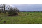 Ca 51400m2 Acker und Weideland nahe Rostock - Grundstück Thulendorf | Angebot:19800536