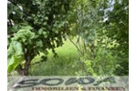 Bezugfreies Haus mit Garten und Garage in Neuburg - Ein Objekt von Ihrem Immobilienpartner SOWA Immobilien und Finanzen - Burg Neuburg an der Donau | Angebot:27225057