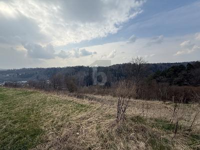 TRAUMGRUNDSTÜCK IM GRÜNEN - Grundstück Wildberg | Angebot:27095276