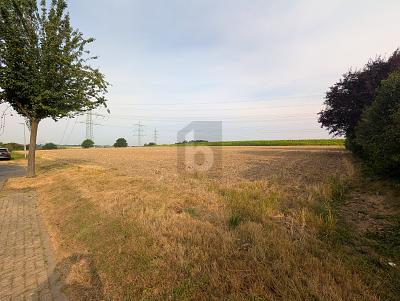 RUHELAGE MIT 2.200 QM & FREIER GESTALTUNG - Grundstück Eitorf | Angebot:27391280