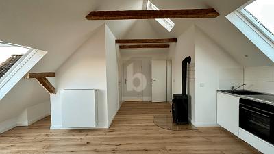 MINIATUR PENTHOUSE MIT LOFT CHARAKTER - Etagenwohnung Schwarzenbek | Angebot:27152260