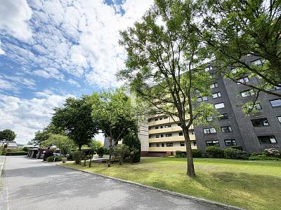 MODERNISIERT, BARRIEREFREI, FAHRSTUHL, BALKON - Etagenwohnung Neumünster Brachenfeld/Ruthenberg | Angebot:26852711