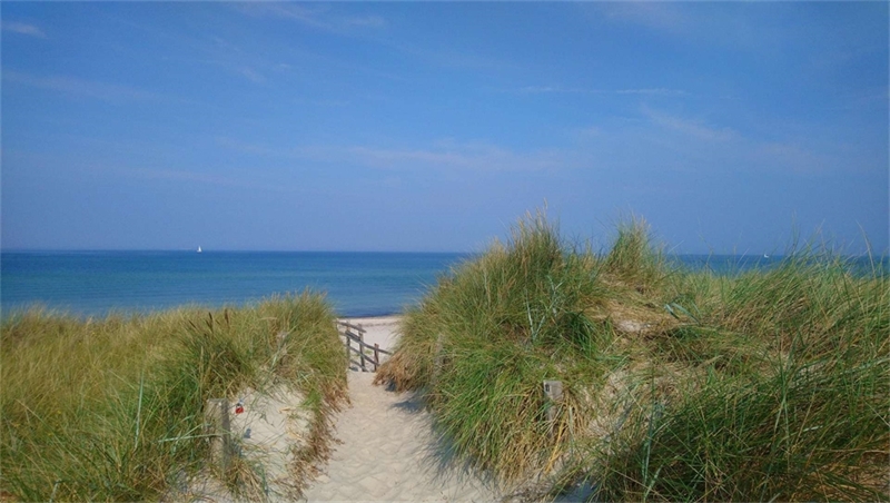 Prerow Landschaft (1)