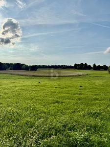 RUHE TRIFFT GRENZENLOSEN WEITBLICK - Grundstück Passee | Angebot:27436911