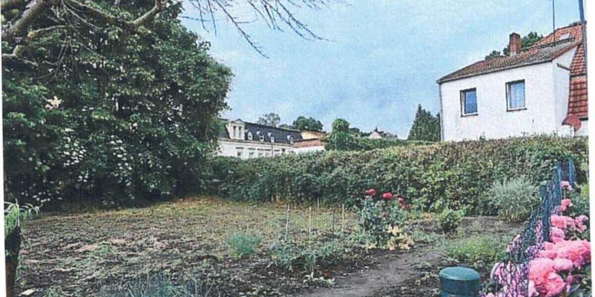 Blick aufs Grundstück-3