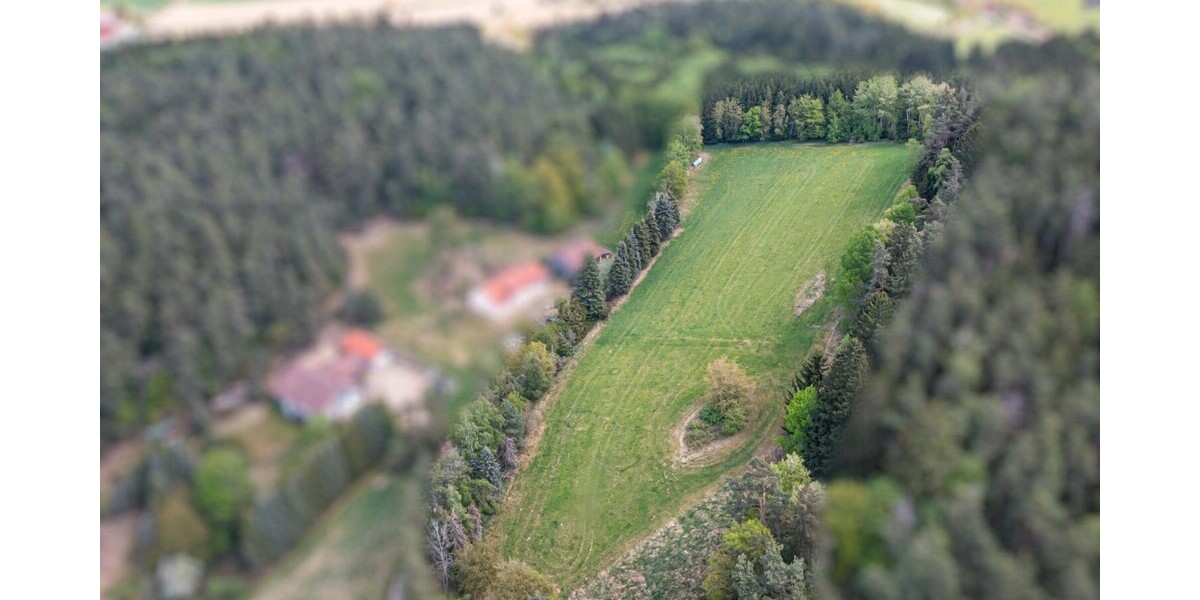 Wiese(2)