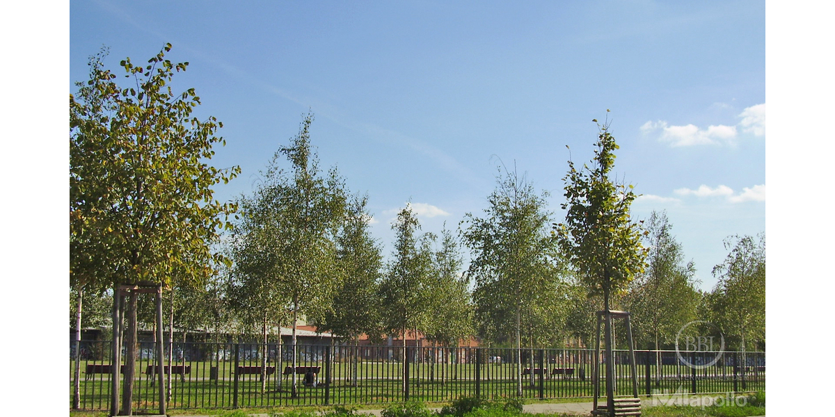 Blankensteinpark