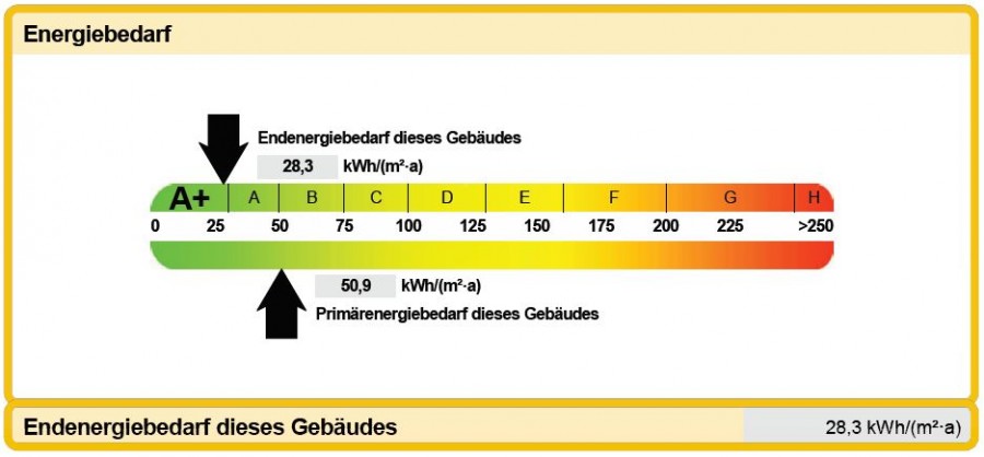 Auszug Energieausweis