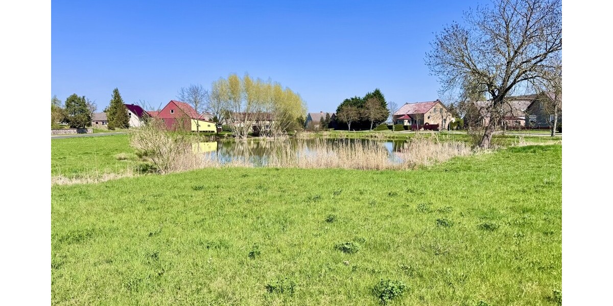 Dorfteich