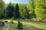 Naturparadies für autarken Lebensstil - Einfamilienhaus Neukirch/Lausitz Lausitz | Angebot:12409416