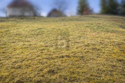 NATURNAH BAUEN IN BAIERSBRONN - Grundstück Baiersbronn | Angebot:27095166