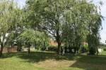Renovierte 1 Zimmer Wohnung mit Einbauküche und Garage optional! - Appartement Galenbeck Sandhagen | Angebot:16221099