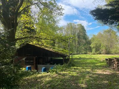 IHR GANZ PRIVATES STÜCK NATUR - Grundstück Kuppenheim | Angebot:27159833