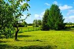 LÄNDLICH LEBEN MIT FREIRAUM - Bauernhaus, Landhaus Großwoltersdorf | Angebot:27095196