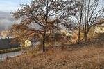 BAUAREAL IN NATURNAHER LAGE - Grundstück Bad Berneck im Fichtelgebirge | Angebot:27359846