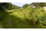 Bad Lauterberg, Grundstück - Grundstück Bad Lauterberg Odertal | Angebot:5717842