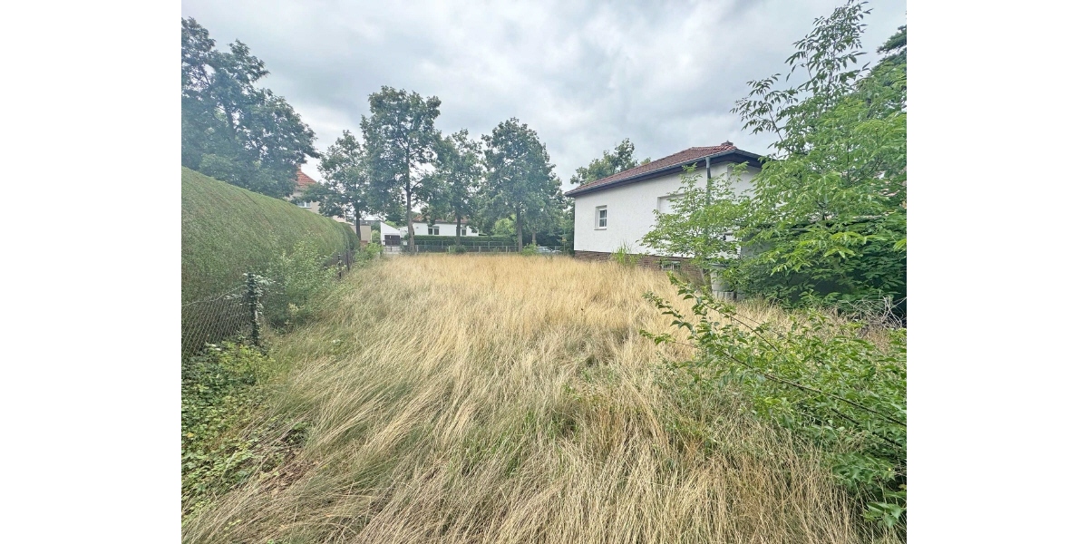 Seitenansicht