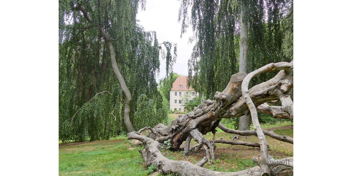 Blick vom Park auf das Schloss