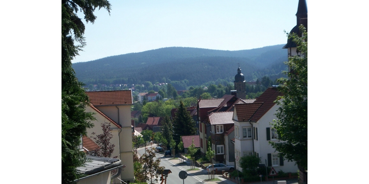 Ausblick über die Waldstraße