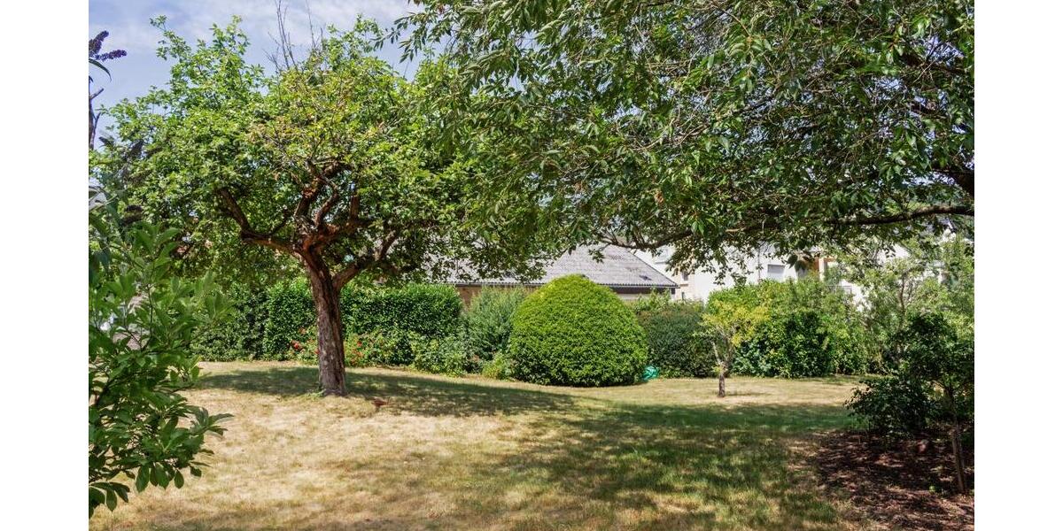 Garten 3