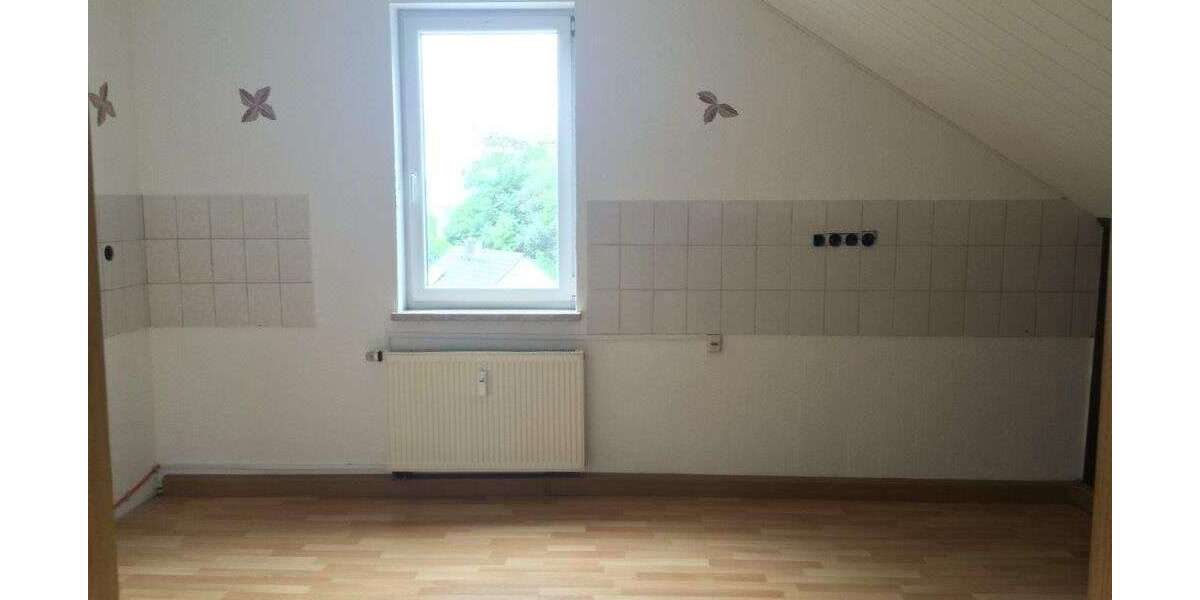 DG (1)